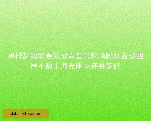 男排超级联赛激战青岛兴轮呦呦队苦战四局不敌上海光明队连胜梦碎
